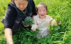 エロゲ原神动画